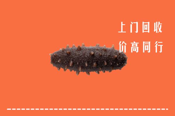 高价求购：衢州回收海参