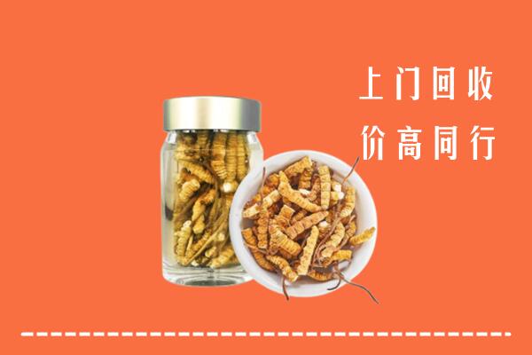 衢州回收冬虫夏草